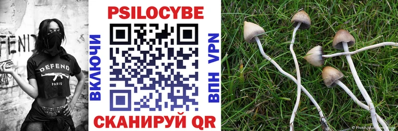 Галлюциногенные грибы мицелий  Купить закладки  Муром 